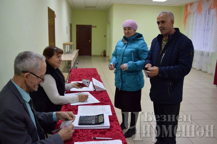 В Черемшанском районе  уже  30 процентов избирателей успели проголосовать