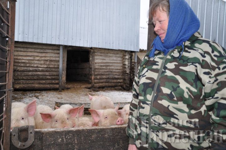 Жители Черемшана Ивановы считают, что Год свиньи будет удачным