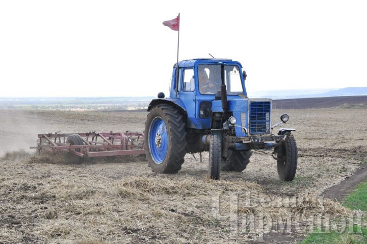 Черемшанские курсанты проходят практику на поле