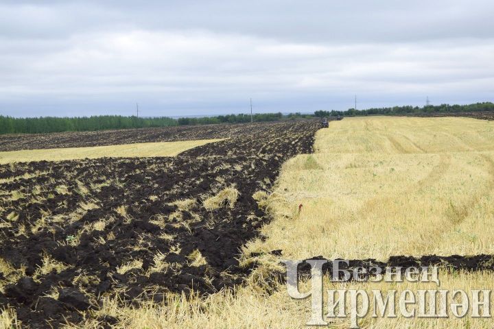 В Черемшанском районе полевые работы запаздывают