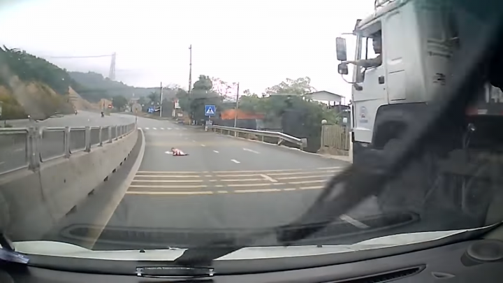 Водитель заметил на дороге что-то похожее на ребенка. Приглянувшись, он со всех сил ударил по тормозам!
