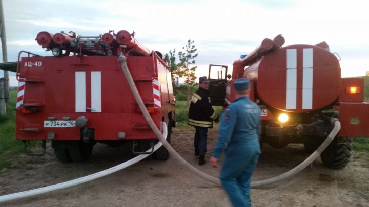 В Черемшанском районе пожарные 10 раз выезжали по ложным вызовам