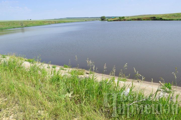 И в Черемшанском районе купаются в запрещенных местах