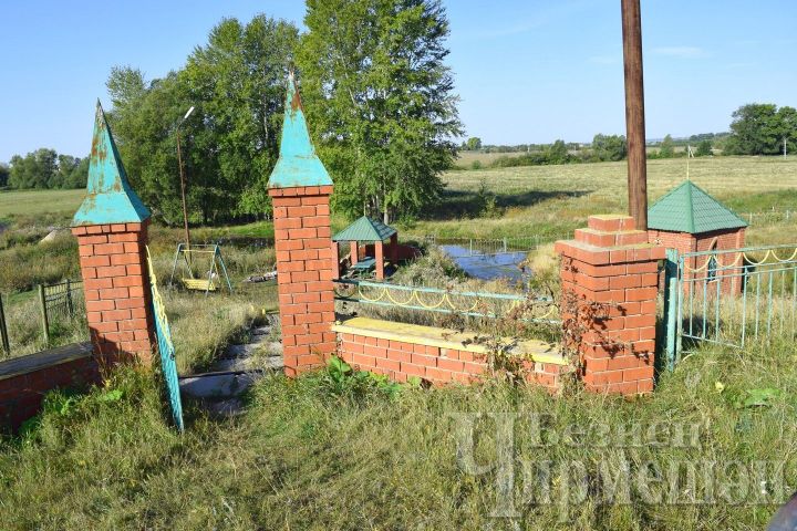 Нижнечегодайский родник зарос сорняком