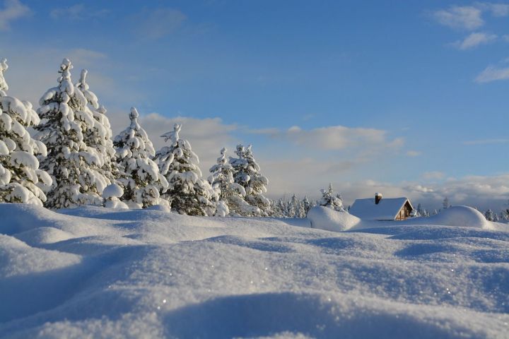 Синоптики предупредили татарстанцев о снежной буре