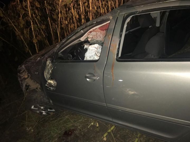 В Черемшанском районе погиб водитель автомобиля, столкнувшегося с лосем