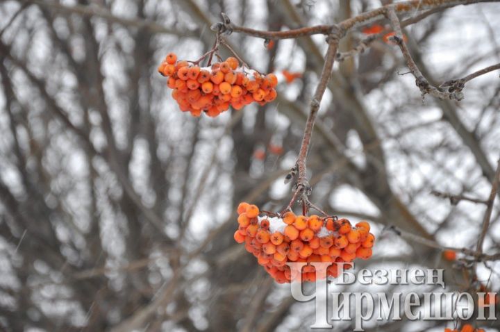 В Татарстане ожидается сильное похолодание