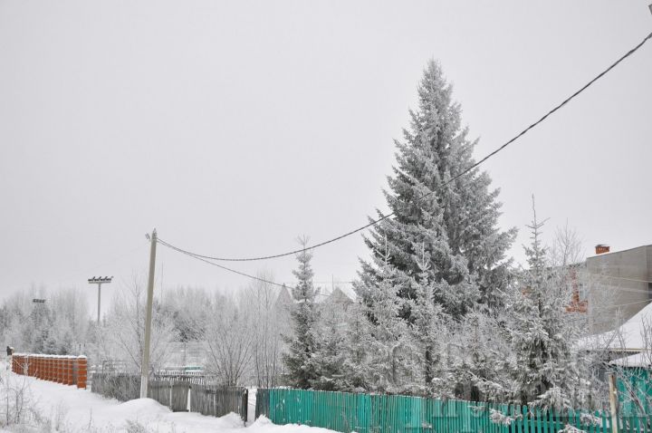 В Татарстане ожидается 25-градусный мороз