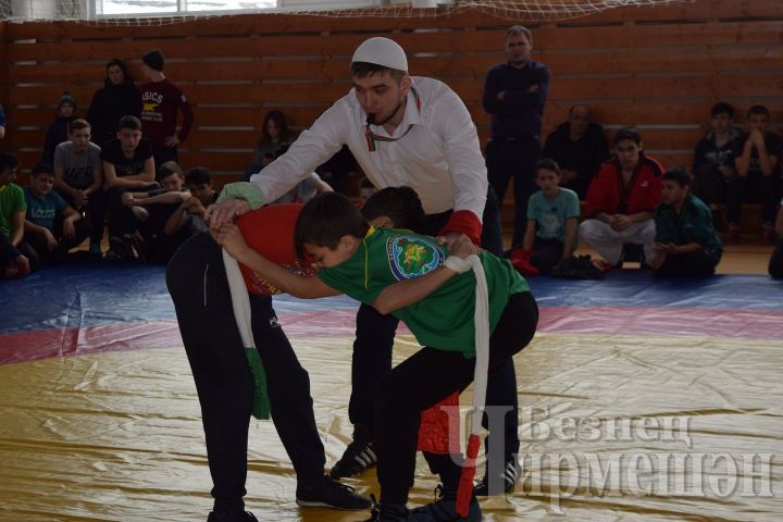 В Черемшане прошел борцовский турнир памяти Мирсаета Кабирова