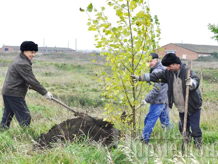 Черемшанцы готовятся ко "Дню посадки леса”
