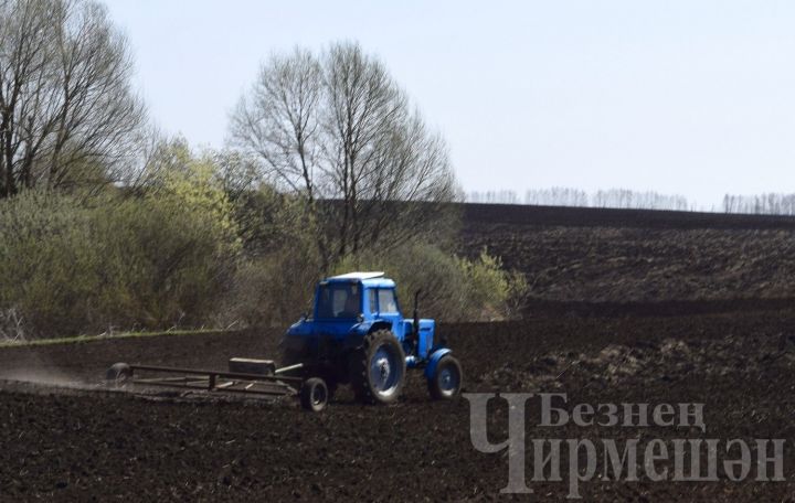 Чирмешән районында 5 мең гектарда чәчү үткәрәсе калды
