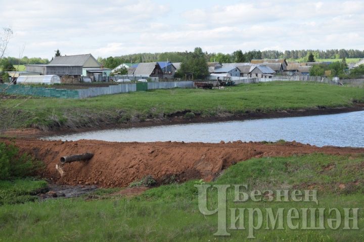 Амировскому пруду требуется ремонт