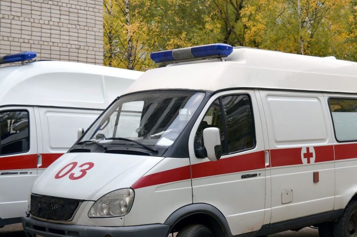 В Татарстане врачи спасли четырехлетнего мальчика, которому собака разорвала лицо
