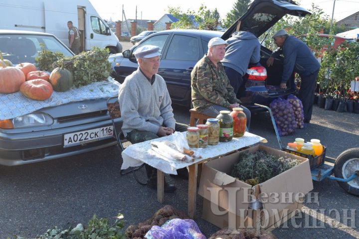 На ярмарке в Черемшане продавали и капусту
