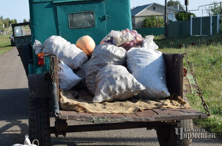 Чирмешән районында 30 тоннадан күбрәк гошер сәдакасы җыелган