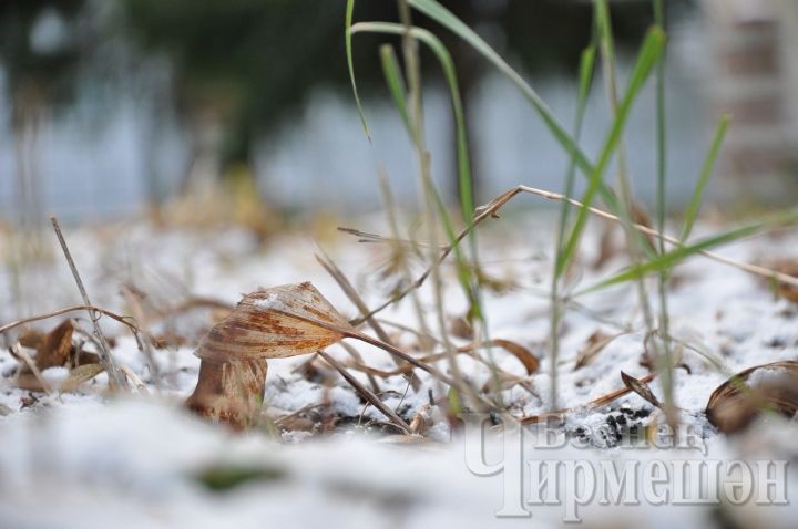 В Черемшане выпал первый снег