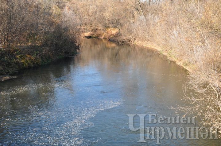 Что сулят нам народные приметы на 13 ноября