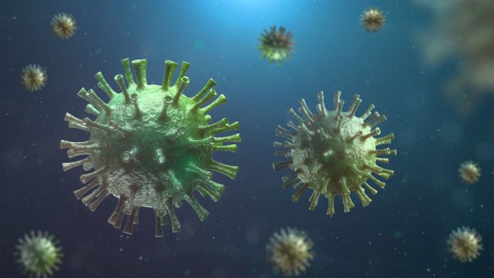 Российские врачи обнаружили положительное свойство коронавируса