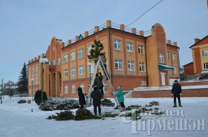 В Черемшанском районе определят, кто лучше украсил свою территорию к Новому году