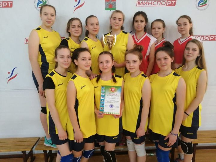 Ивашкинские девушки – обладатели главного приза соревнований по волейболу среди школ