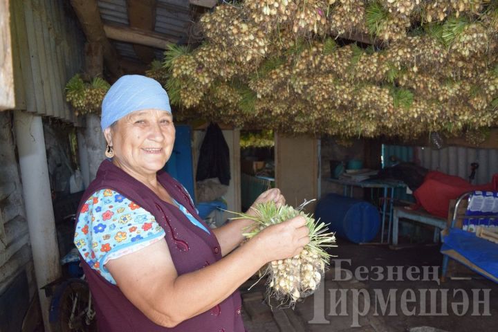 В Черемшанском районе сеют лук