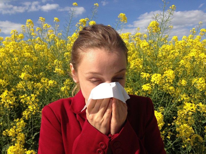 Аллергия елдан-ел яшәрә