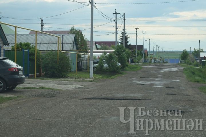 Когда завершится ремонт дороги на улице Садовой в Черемшане?