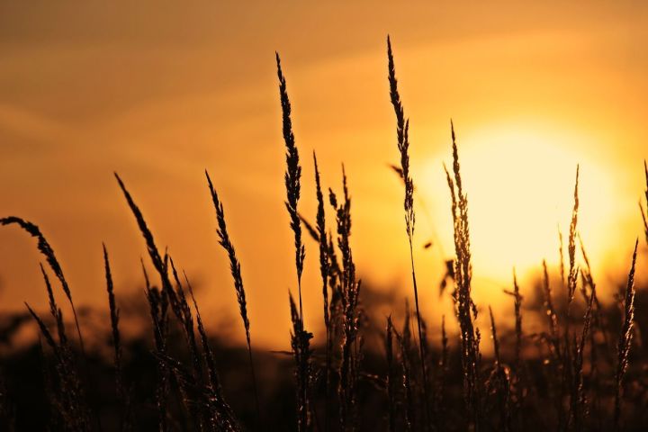 Гидрометцентр РФ предупредил о повышенном уровне солнечного излучения