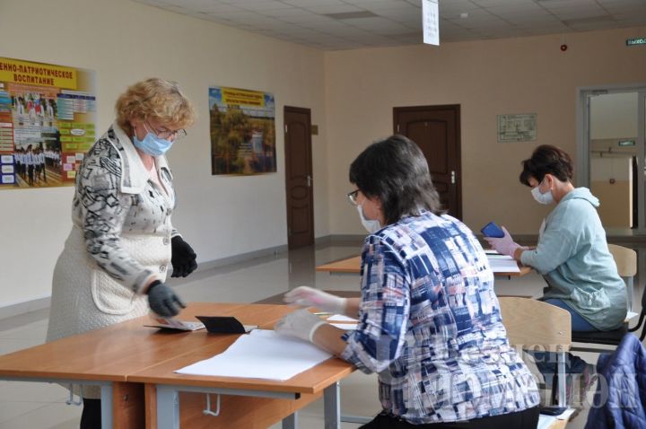 В Черемшанском районе досрочно проголосовали 9218 избирателей