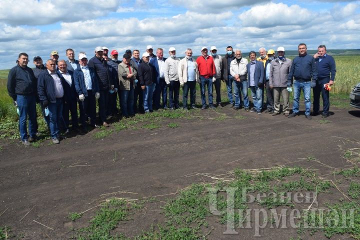Республиканские агрохимики собрались в Черемшане, чтобы поделиться опытом работы