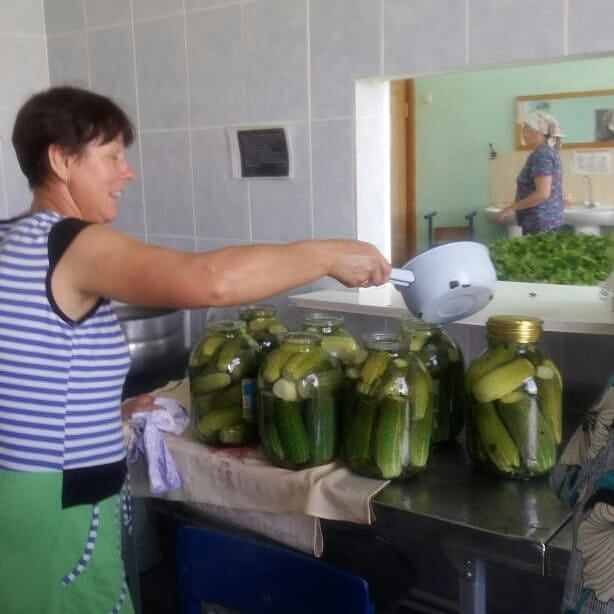 Аккиреевская школа Черемшанского района вырастила богатый урожай овощей