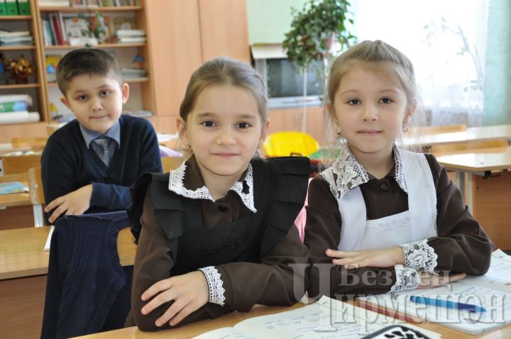 В Черемшанском районе 203 ребенка получат школьные принадлежности