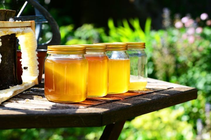 Как правильно выбирать мёд?
