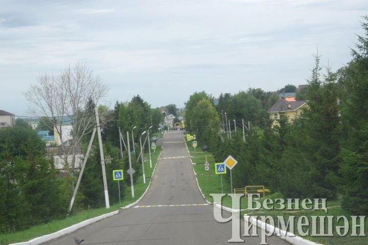 В Черемшанском районе усилят внимание безопасности дорог
