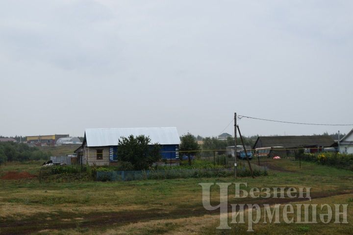 В селе Кутема Черемшанского района в двух домах сыграли четыре свадьбы