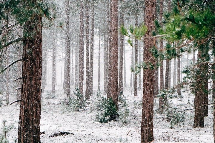 Народные приметы 21 февраля в день Захария