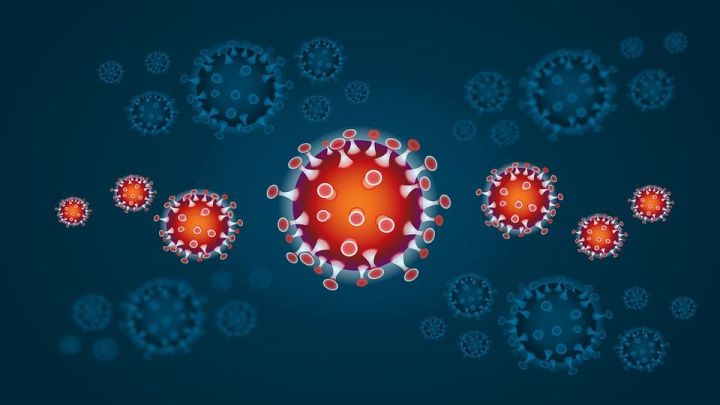 В России прогнозируется рост заболеваемости коронавирусом