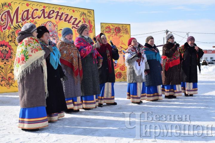 Черемшанцы проводили зиму, организовав большой праздник