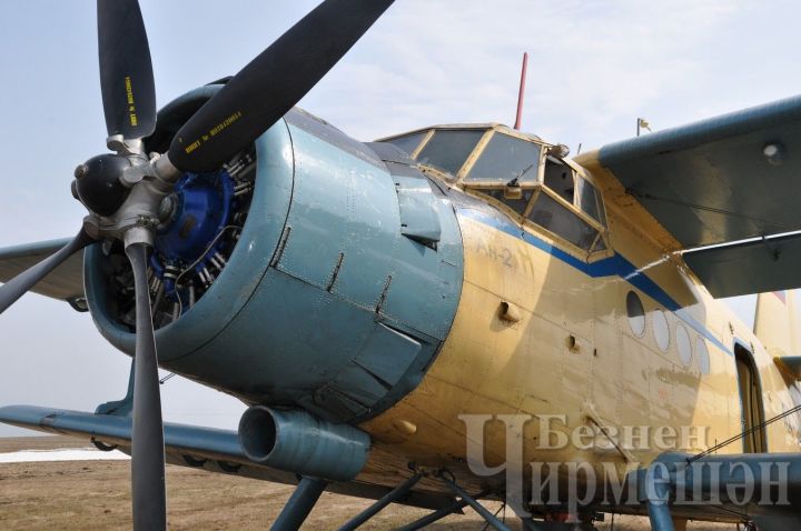 Поля общества «БИО АГРО» в Черемшане обрабатываются самолетом