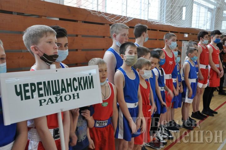 В Черемшане начался республиканский турнир по боксу