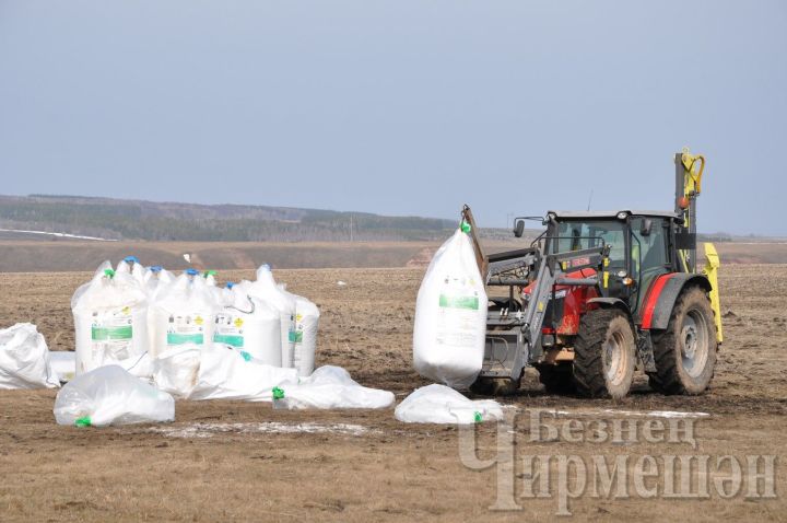 В сельхозпредприятиях Черемшанского района проводится уход за посевами