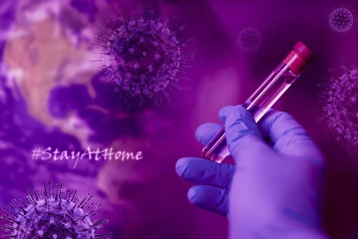 В РТ выявлен 31 новый случай коронавируса