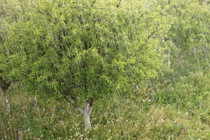 В Татарстане ожидаются ливни с грозами