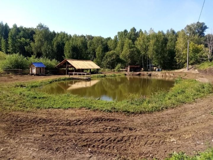 На Туйметкинском озере через несколько лет будут ловить рыбу
