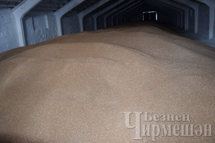 В Черемшанском районе предлагают фуражное зерно