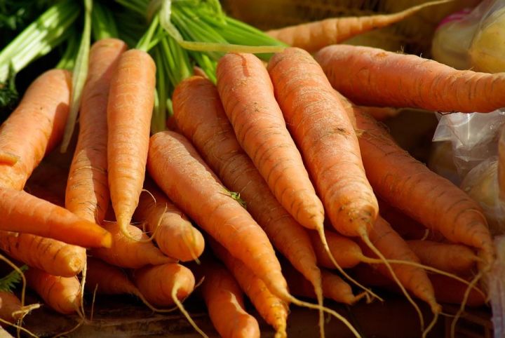 Самые верные способы по сохранению моркови до весны