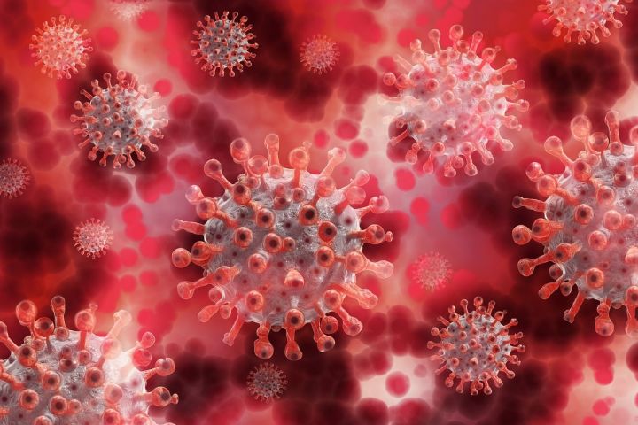 Еще 54 человека в Татарстане заболели коронавирусом