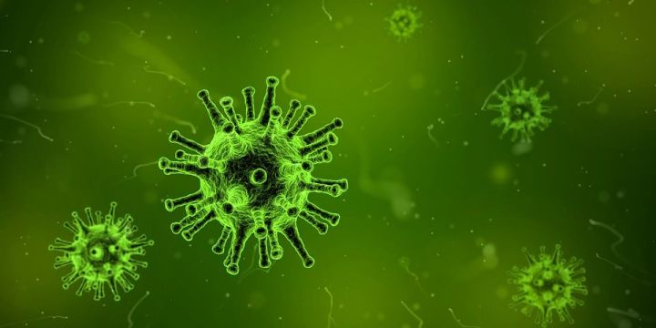 В РТ более пятидесяти человек заболели коронавирусом