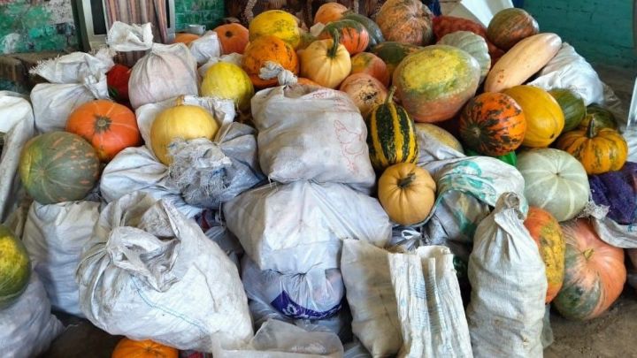 Черемшанские овощи отправили и в Ульяновскую область