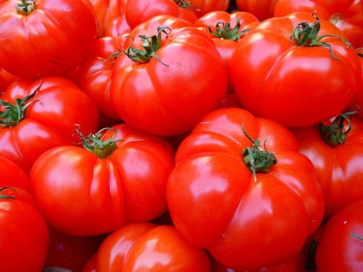 Россельхознадзор выявил ряд заболеваний в турецких фруктах и помидорах